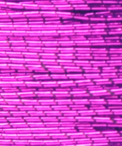 ProWrap Metallic Rod Winding Thread - Size A (100 Yds) Supplies 60 ProWrap Metallic Rod Winding Thread - Size A (100 Yds) Supplies