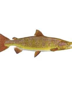 Mud Hole 4" Gamefish Boat & Truck Window Stickers 67 Mud Hole 4