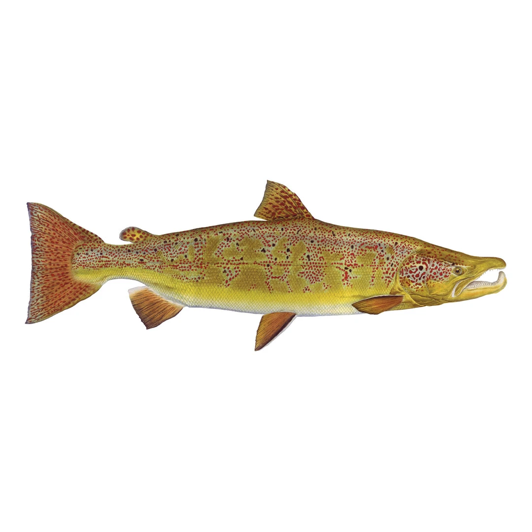 Mud Hole 4" Gamefish Boat & Truck Window Stickers 8 Mud Hole 4" Gamefish Boat & Truck Window Stickers