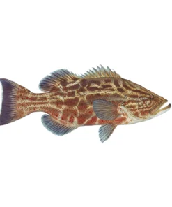 Mud Hole 4" Gamefish Boat & Truck Window Stickers 69 Mud Hole 4