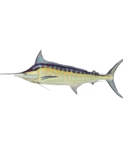 Mud Hole 4" Gamefish Boat & Truck Window Stickers 71 Mud Hole 4