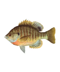 Mud Hole 4" Gamefish Boat & Truck Window Stickers 74 Mud Hole 4