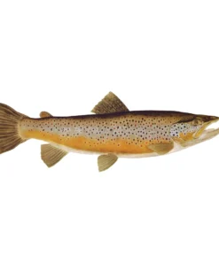 Mud Hole 4" Gamefish Boat & Truck Window Stickers 77 Mud Hole 4