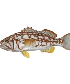 Mud Hole Truck Decals & Stickers 12