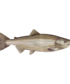 Mud Hole 4" Gamefish Boat & Truck Window Stickers 83 Mud Hole 4