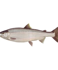 Mud Hole Truck Decals & Stickers 12