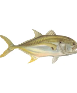 Mud Hole 4" Gamefish Boat & Truck Window Stickers 87 Mud Hole 4