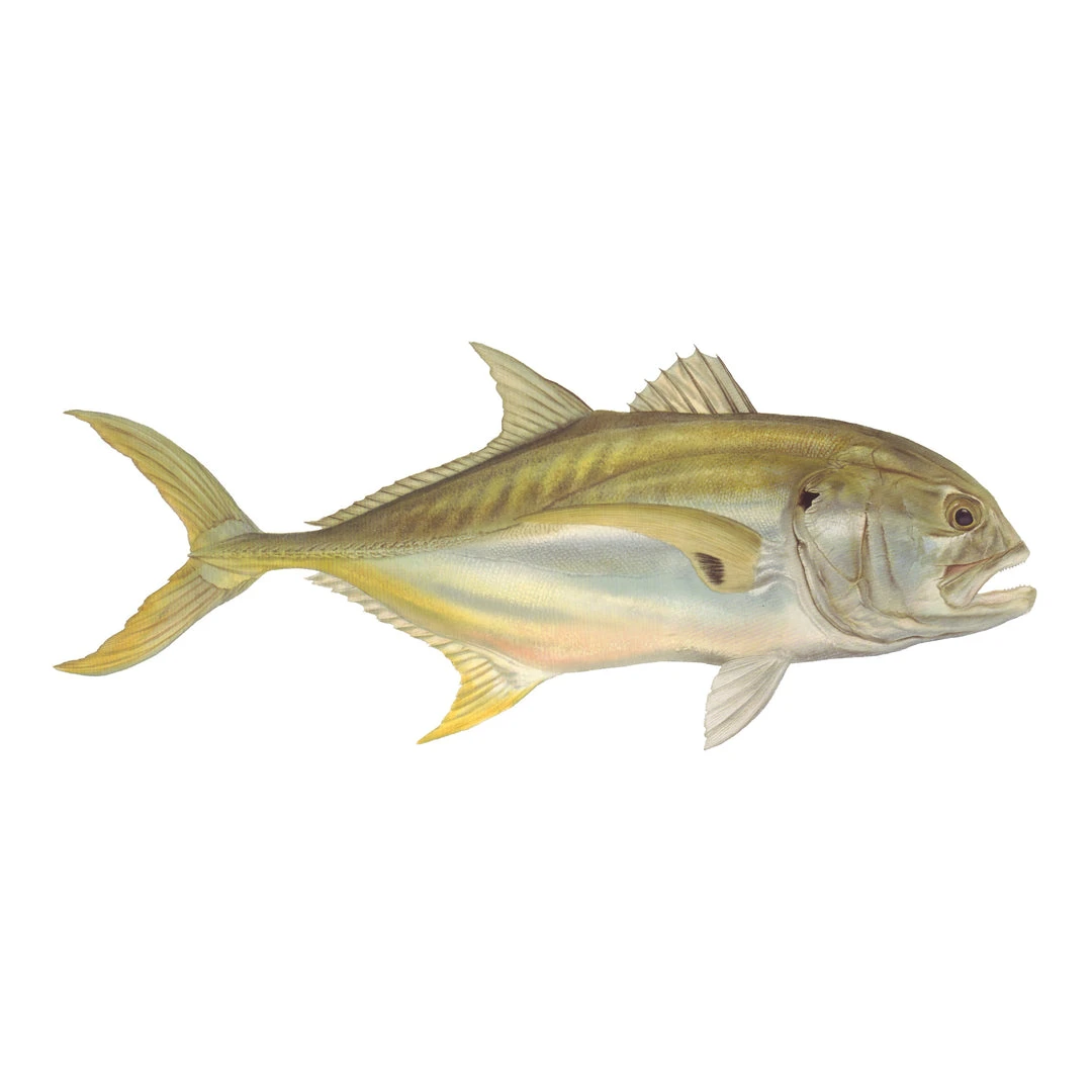 Mud Hole 4" Gamefish Boat & Truck Window Stickers 28 Mud Hole 4" Gamefish Boat & Truck Window Stickers