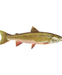 Mud Hole 4" Gamefish Boat & Truck Window Stickers 88 Mud Hole 4