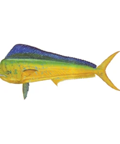 Mud Hole 4" Gamefish Boat & Truck Window Stickers 89 Mud Hole 4