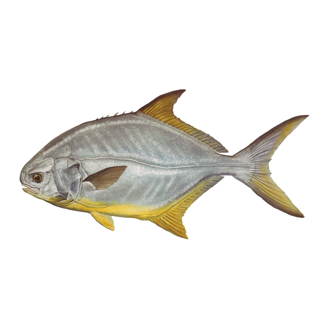 Mud Hole 4" Gamefish Boat & Truck Window Stickers 31 Mud Hole 4" Gamefish Boat & Truck Window Stickers