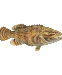 Mud Hole 4" Gamefish Boat & Truck Window Stickers 93 Mud Hole 4