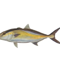 Mud Hole 8" Gamefish Boat & Truck Window Stickers 94 Mud Hole 8