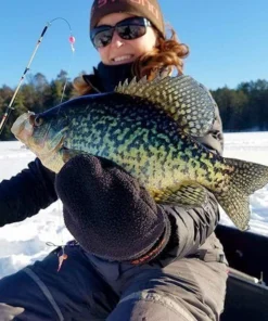 Ice Strong Titanium Spring Bobbers Ice Rod Guides 11 Ice Strong Titanium Spring Bobbers Ice Rod Guides