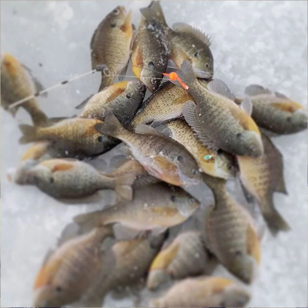 Ice Strong Titanium Spring Bobbers Ice Rod Guides 4 Ice Strong Titanium Spring Bobbers Ice Rod Guides