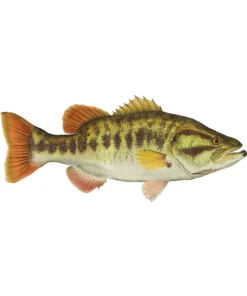 Mud Hole 8" Gamefish Boat & Truck Window Stickers 98 Mud Hole 8