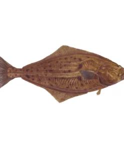 Mud Hole Truck Decals & Stickers 12