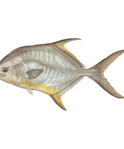 Mud Hole 8" Gamefish Boat & Truck Window Stickers 104 Mud Hole 8