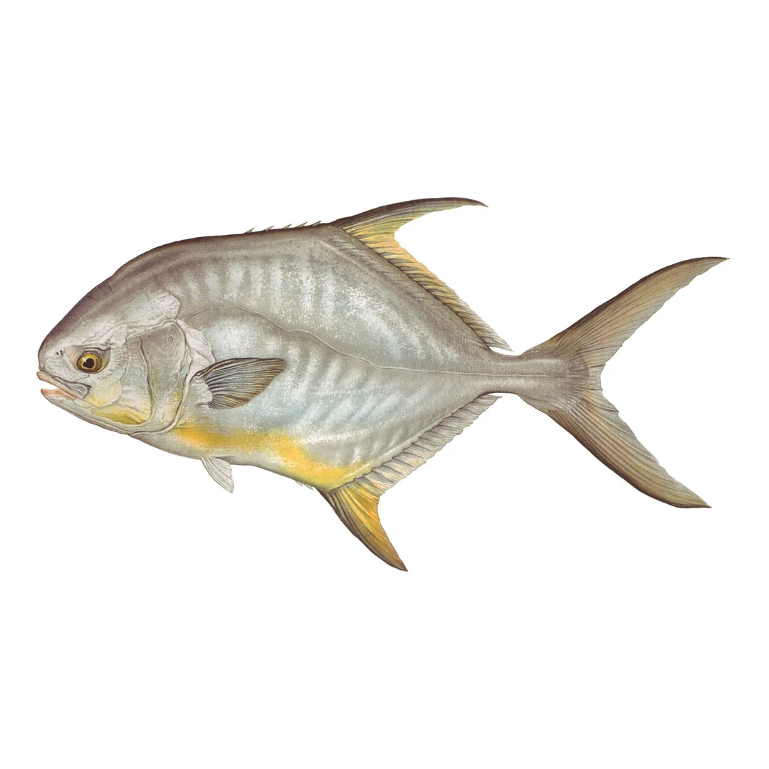 Mud Hole 8" Gamefish Boat & Truck Window Stickers 45 Mud Hole 8" Gamefish Boat & Truck Window Stickers