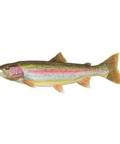 Mud Hole 8" Gamefish Boat & Truck Window Stickers 102 Mud Hole 8