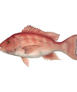 Mud Hole 4" Gamefish Boat & Truck Window Stickers 104 Mud Hole 4