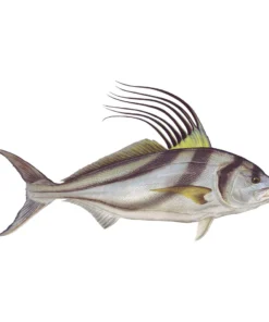 Mud Hole 4" Gamefish Boat & Truck Window Stickers 110 Mud Hole 4