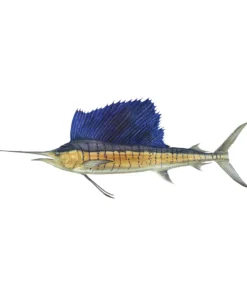 Mud Hole Truck Decals & Stickers 12