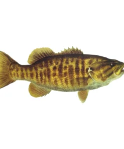 Mud Hole 4" Gamefish Boat & Truck Window Stickers 107 Mud Hole 4