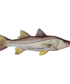 Mud Hole 4" Gamefish Boat & Truck Window Stickers 108 Mud Hole 4