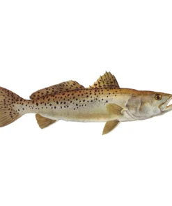 Mud Hole 8" Gamefish Boat & Truck Window Stickers 112 Mud Hole 8