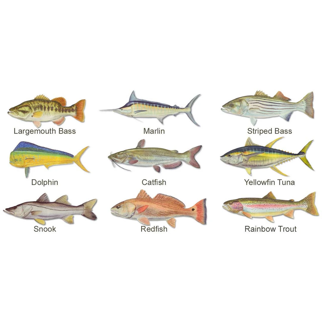 Mud Hole Gear Custom T-Shirt: Bamboo Frame With Crossing Rods 5 Mud Hole Gear Custom T-Shirt: Bamboo Frame With Crossing Rods