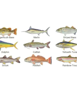 Mud Hole Custom T-Shirt: Life Ring With Crossing Rods Gear