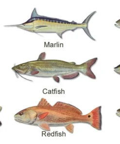 Mud Hole Women's Custom T-Shirt: Life Ring With Crossing Rods 11 Mud Hole Women's Custom T-Shirt: Life Ring With Crossing Rods