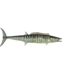 Mud Hole 4" Gamefish Boat & Truck Window Stickers 116 Mud Hole 4