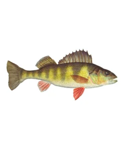 Mud Hole 4" Gamefish Boat & Truck Window Stickers 118 Mud Hole 4