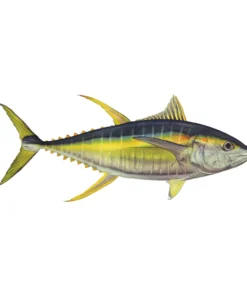 Mud Hole 8" Gamefish Boat & Truck Window Stickers 120 Mud Hole 8