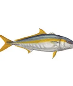 CRB Gamefish Rod Decals