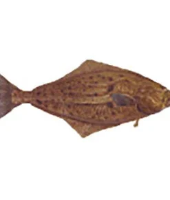 CRB Gamefish Rod Decals