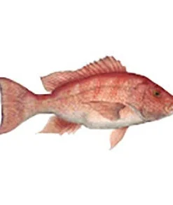 CRB Gamefish Rod Decals