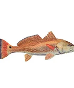 CRB Gamefish Rod Decals