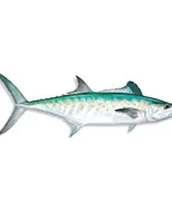 CRB Gamefish Rod Decals